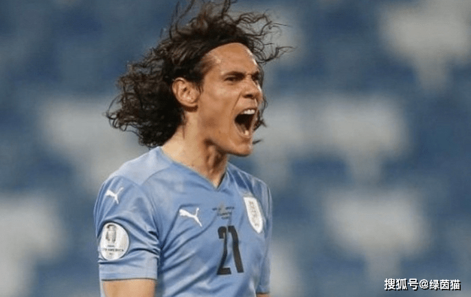 卡迪夫城战胜众敌手,继续领跑积分榜的简单介绍 卡迪夫城战胜众敌手,继续领跑积分榜的简单介绍